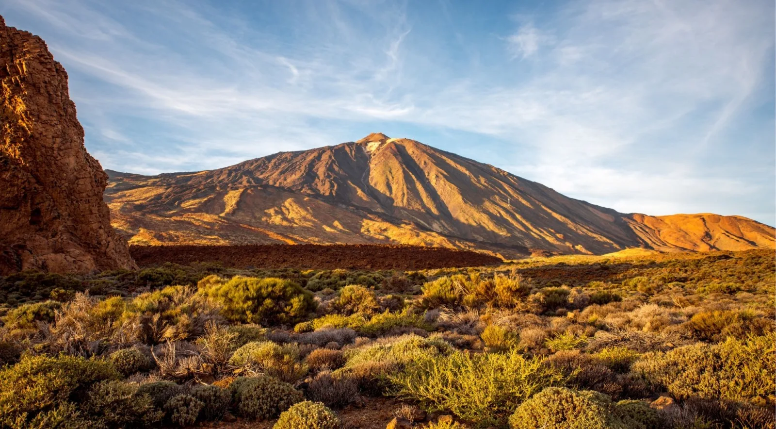 Mount Teide lit gold at sunrise above the scrubland of the Las Cañadas caldera, Tenerife