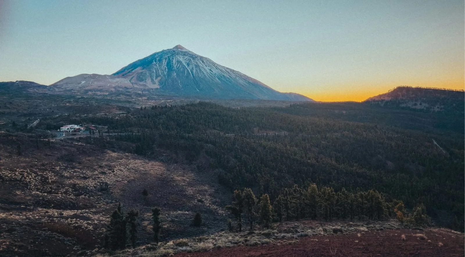Mount Teide at dusk seen across Canary pine forest, with an orange band of sky on the horizon
